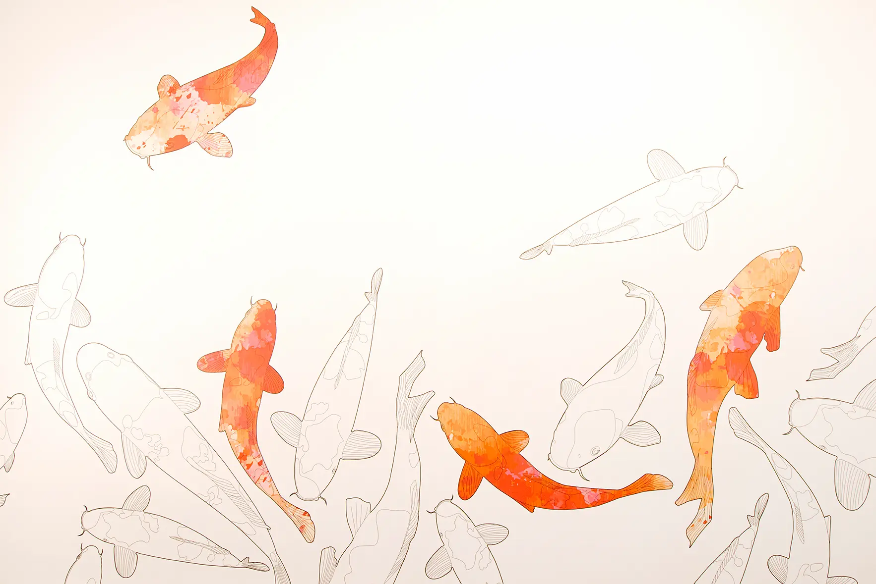 Better Marketing & Conversions